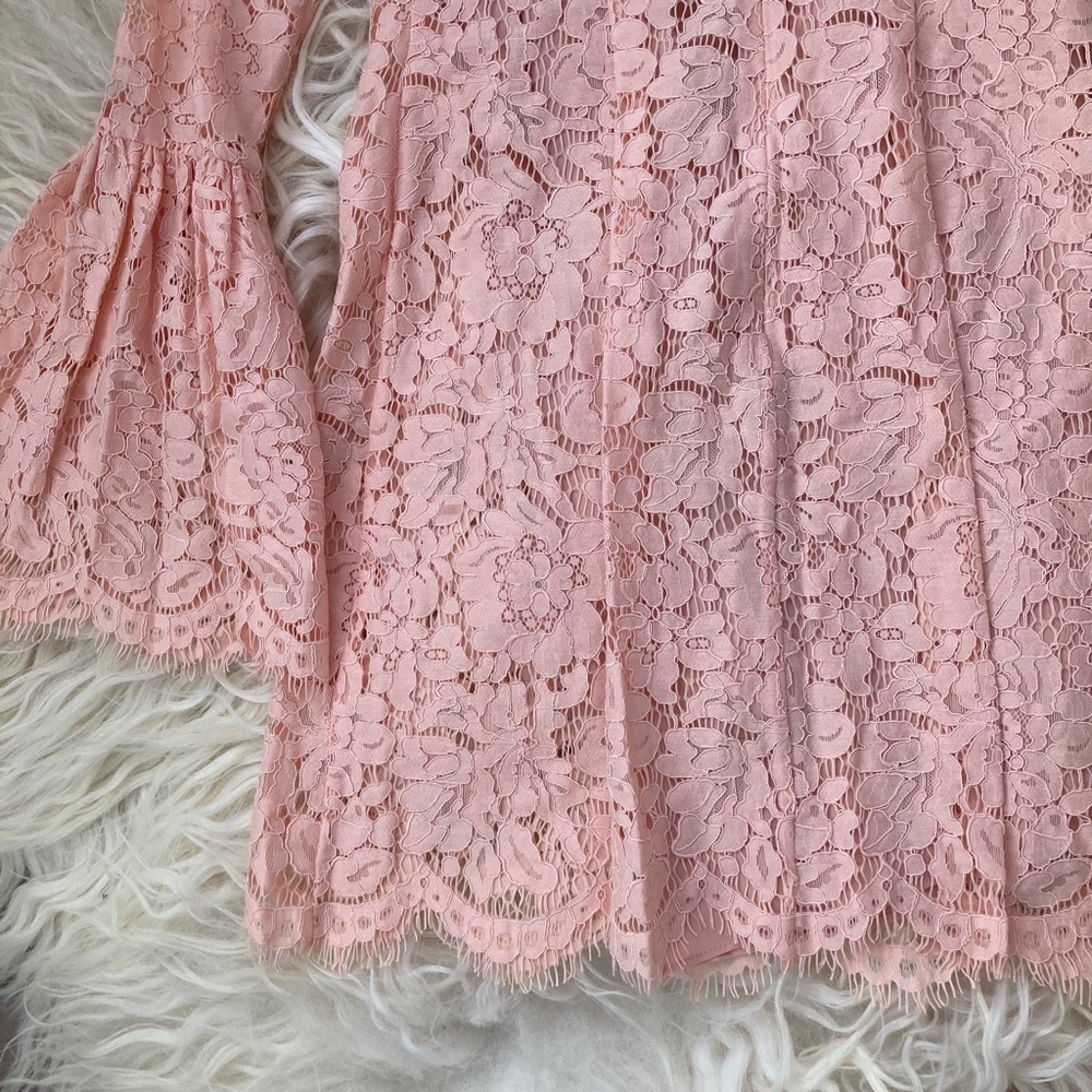 RACHEL ZOE Lace Pattern Mini Dress - Picture 15 of 15